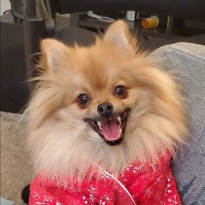 Meet your Posher, Jimmy